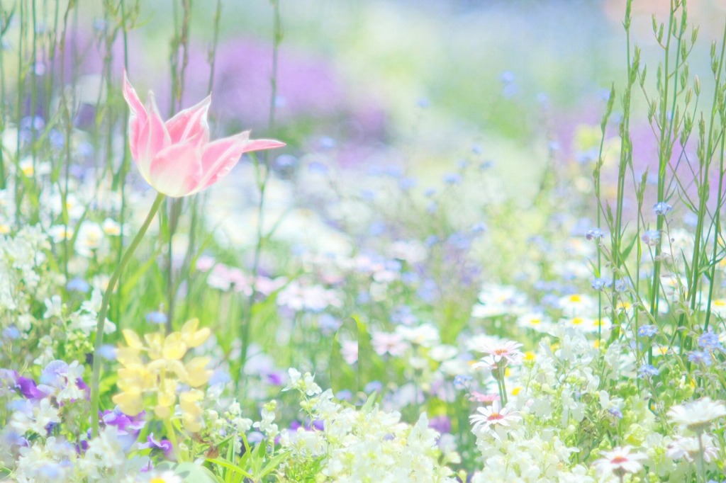 Instagramなどで見る素敵な写真のような色にならないと思ってませんか？<br />